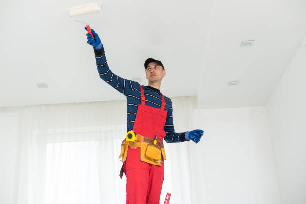 Best Drywall Sanding and Smoothing  in Saunders Lake, OR